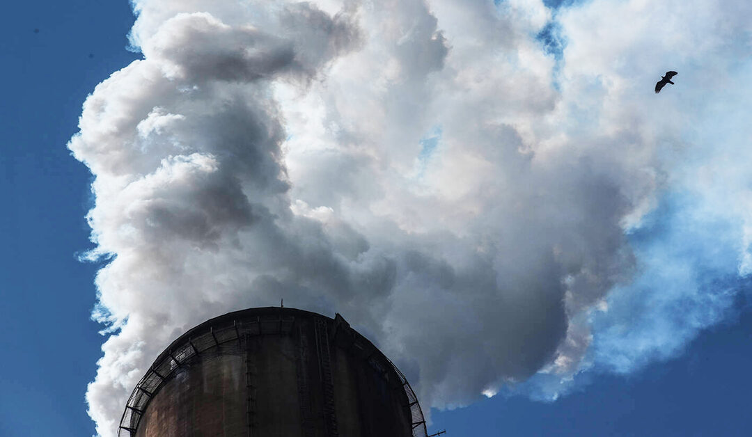 Renew Power Pledges To Achieve Net Zero Emissions  By 2050