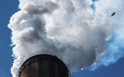 Renew Power Pledges To Achieve Net Zero Emissions  By 2050