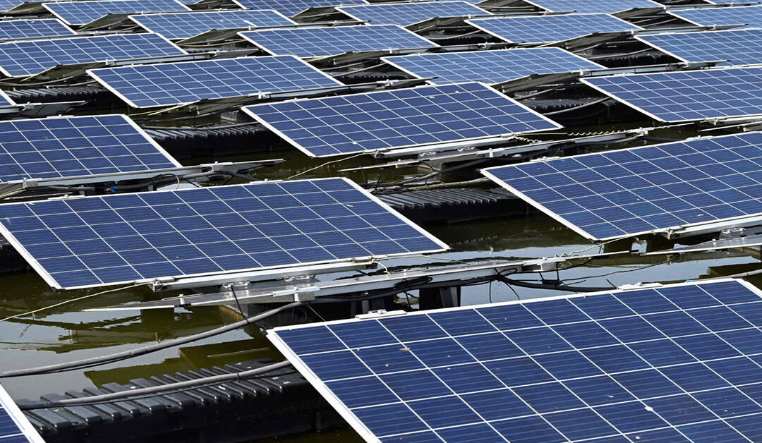 One Of The World’s Biggest Solar Panel Farms Unveiled By Singapore