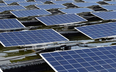 One Of The World’s Biggest Solar Panel Farms Unveiled By Singapore