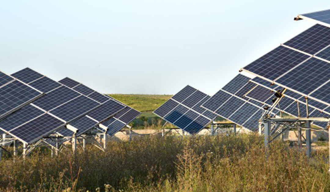 IEA Says India’s Solar Energy Output  To Match Coal-Fired Power By 2040