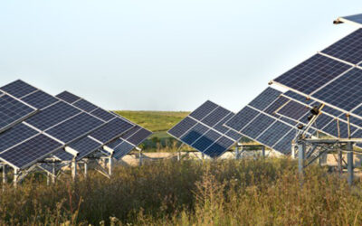 IEA Says India’s Solar Energy Output  To Match Coal-Fired Power By 2040