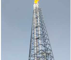 Versatile Solution For High Rise Industrial Structure