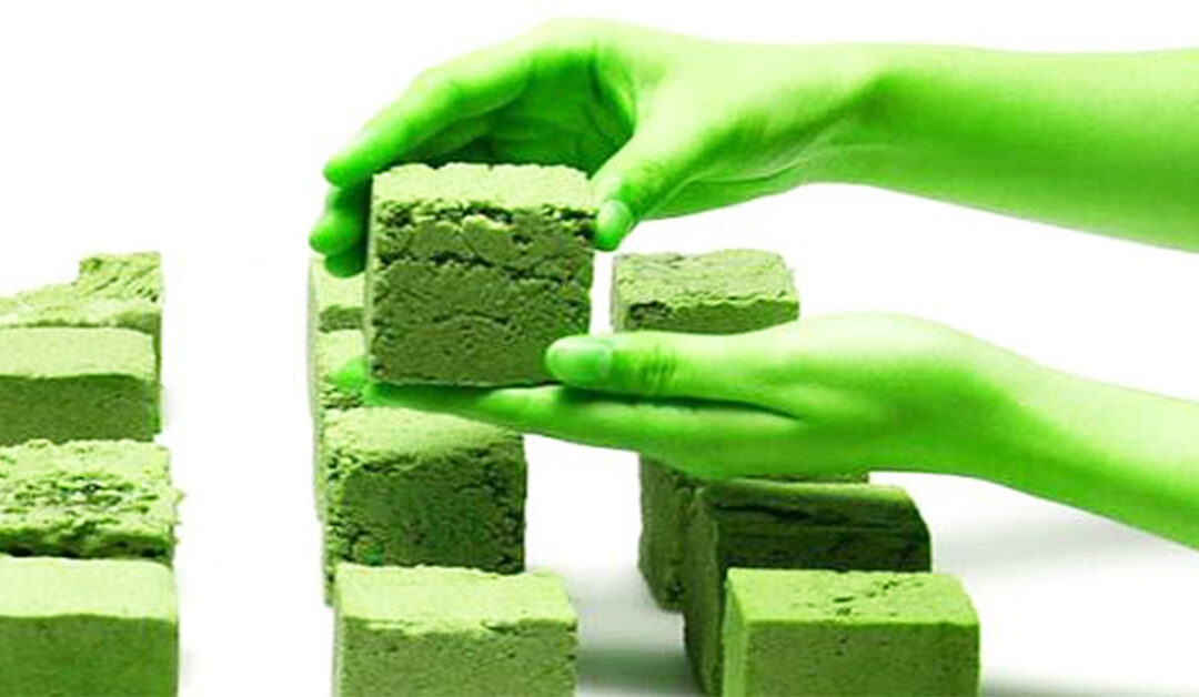 JSW Cement Enters Construction Chemicals Biz,  Launches Green Products