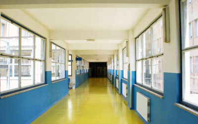 Certified Enamel Wall Paints For A Healthier Environment