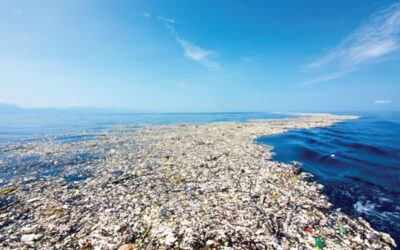 Use Of Waste Plastic And Tyre Pyrolytic Char In Asphalt Binders